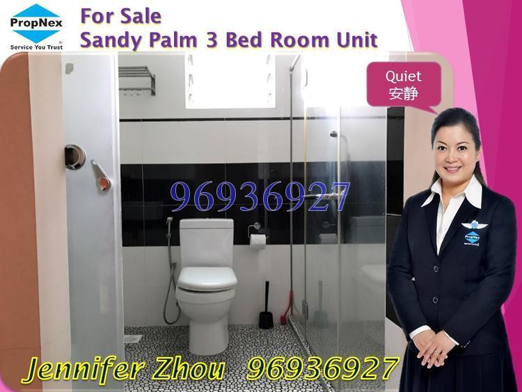 Sandy Palm (D17), Condominium #135882432